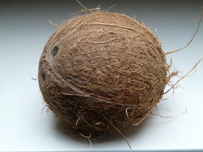 celý kokos